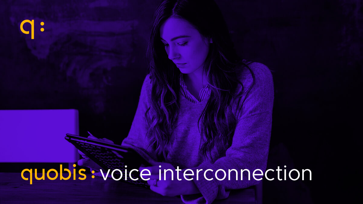 voice interconnection