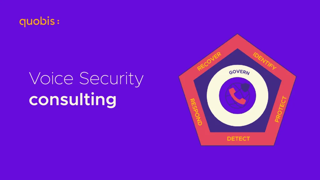 voice security consulting