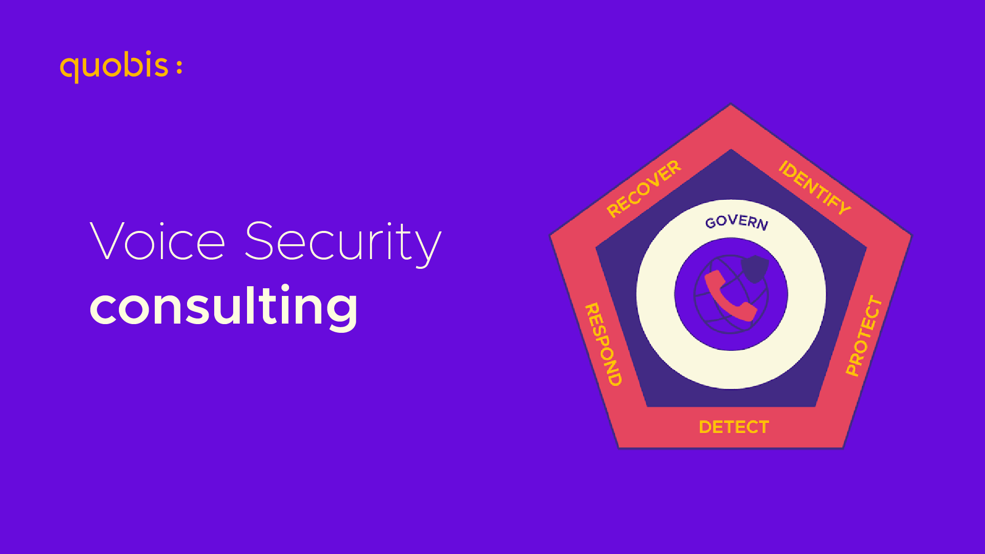 voice security consulting
